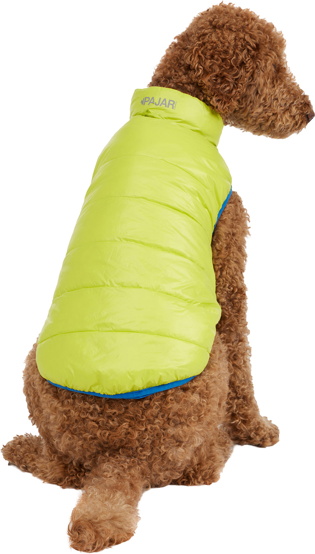 Cora Reversible Packable Puffer Jacket for Dogs
