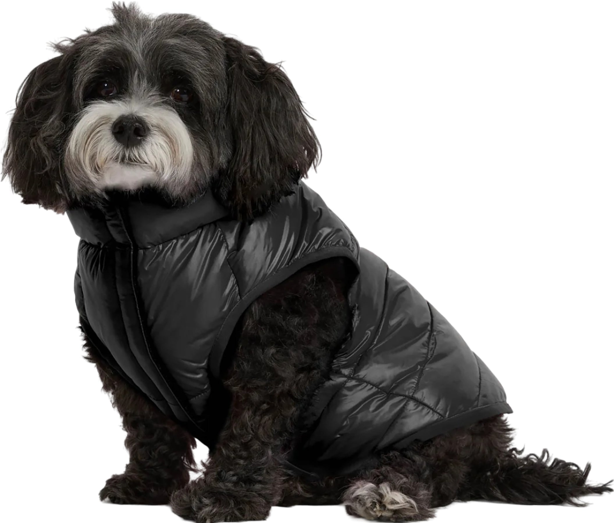 Cora Reversible Packable Puffer Jacket for Dogs