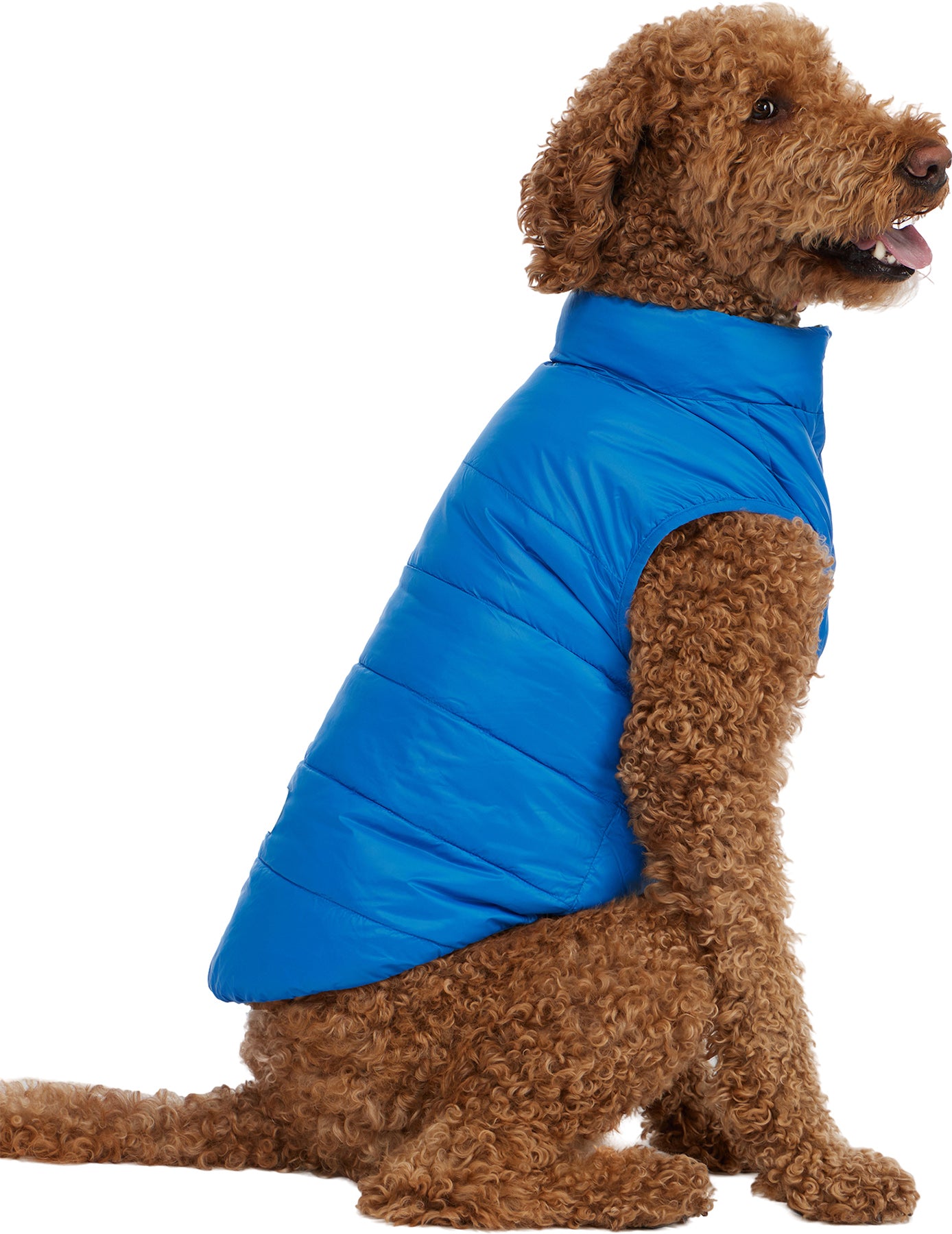 Cora Reversible Packable Puffer Jacket for Dogs