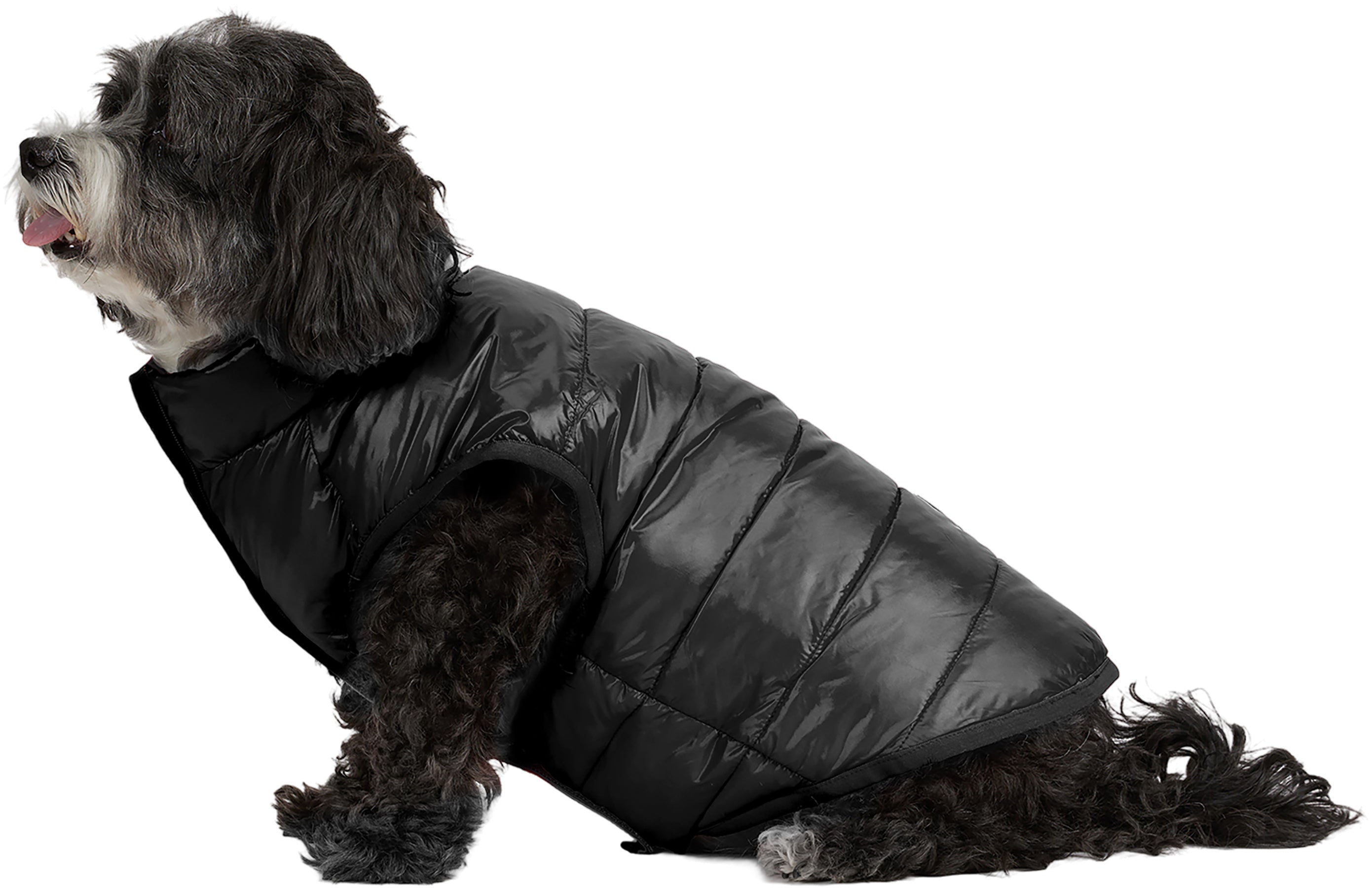 Cora Reversible Packable Puffer Jacket for Dogs