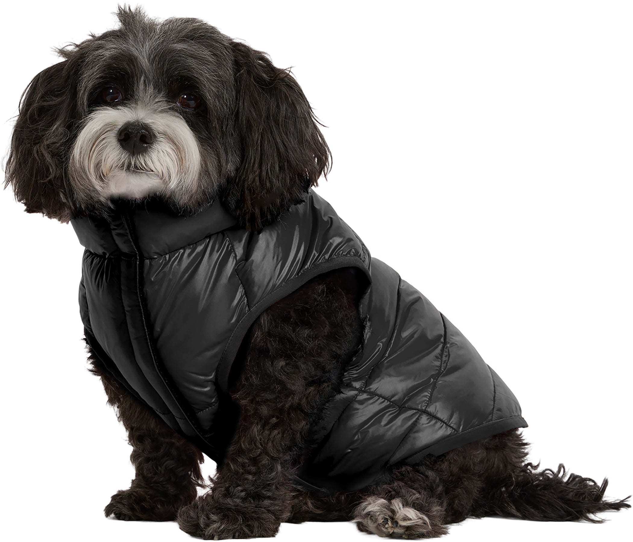 Cora Reversible Packable Puffer Jacket for Dogs