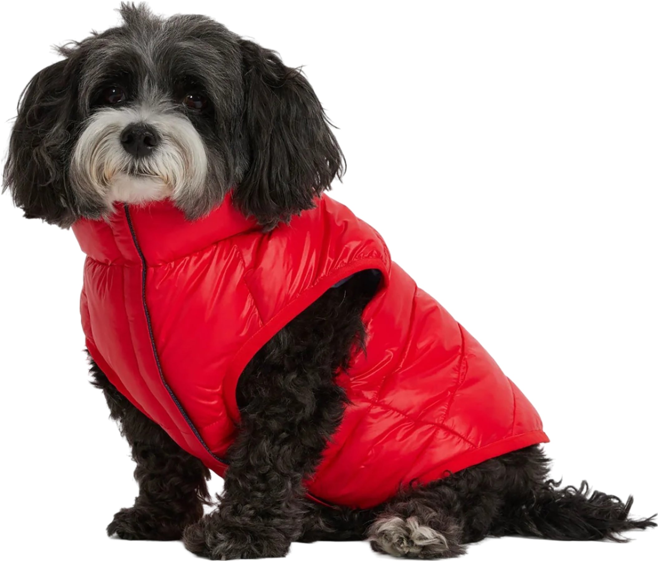 Cora Reversible Packable Puffer Jacket for Dogs
