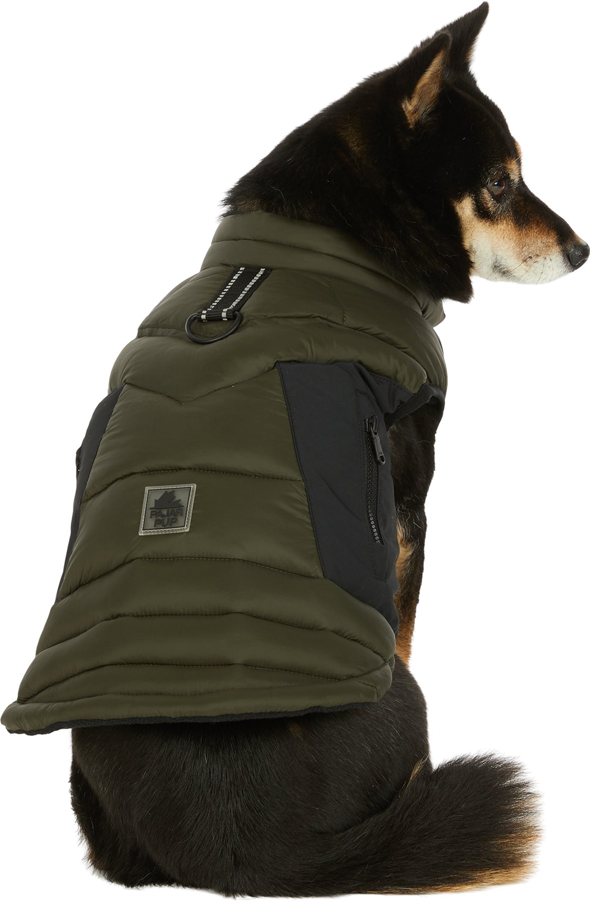 Beau Jacket with Leash Attachment for Dogs