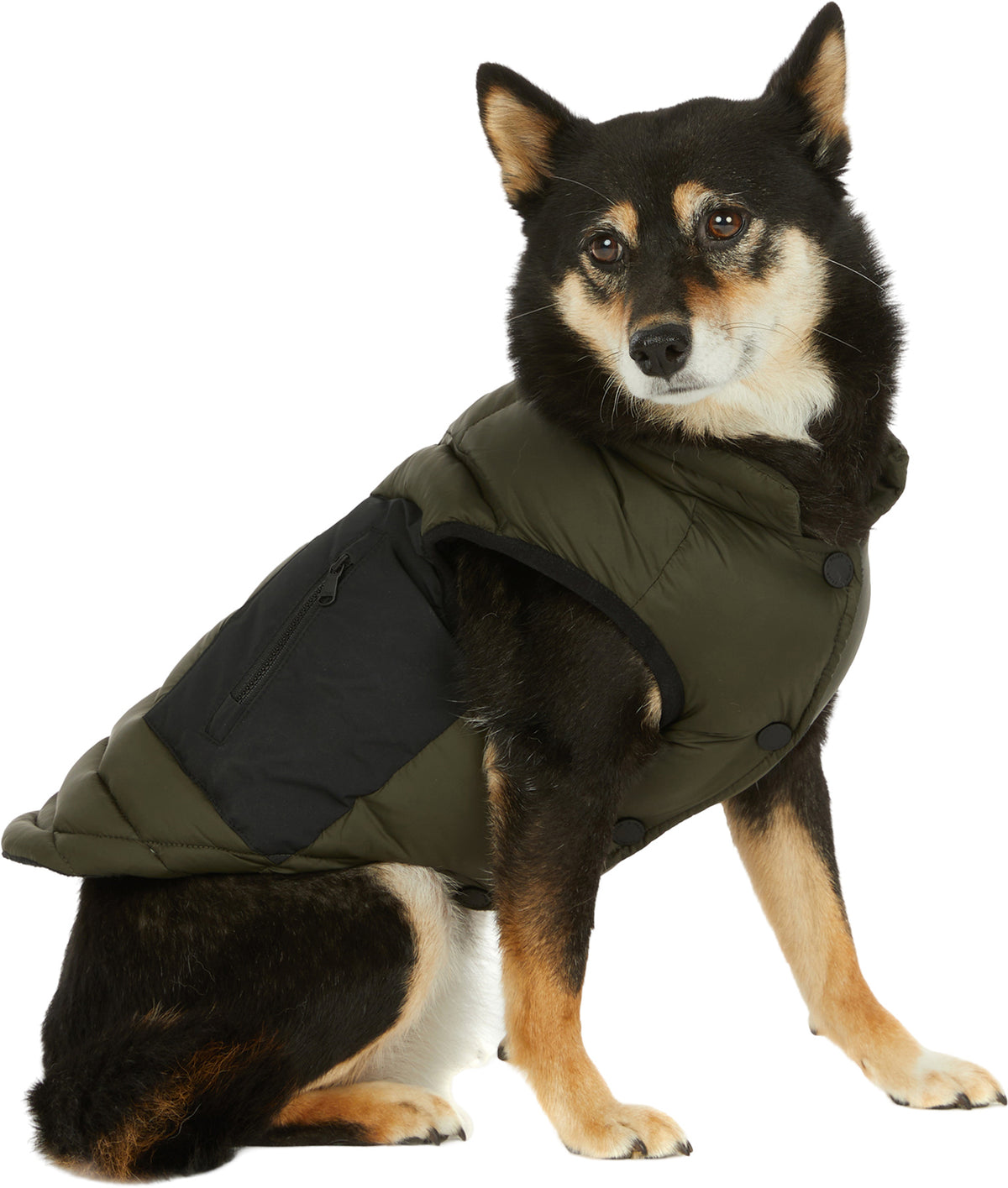 Beau Jacket with Leash Attachment for Dogs