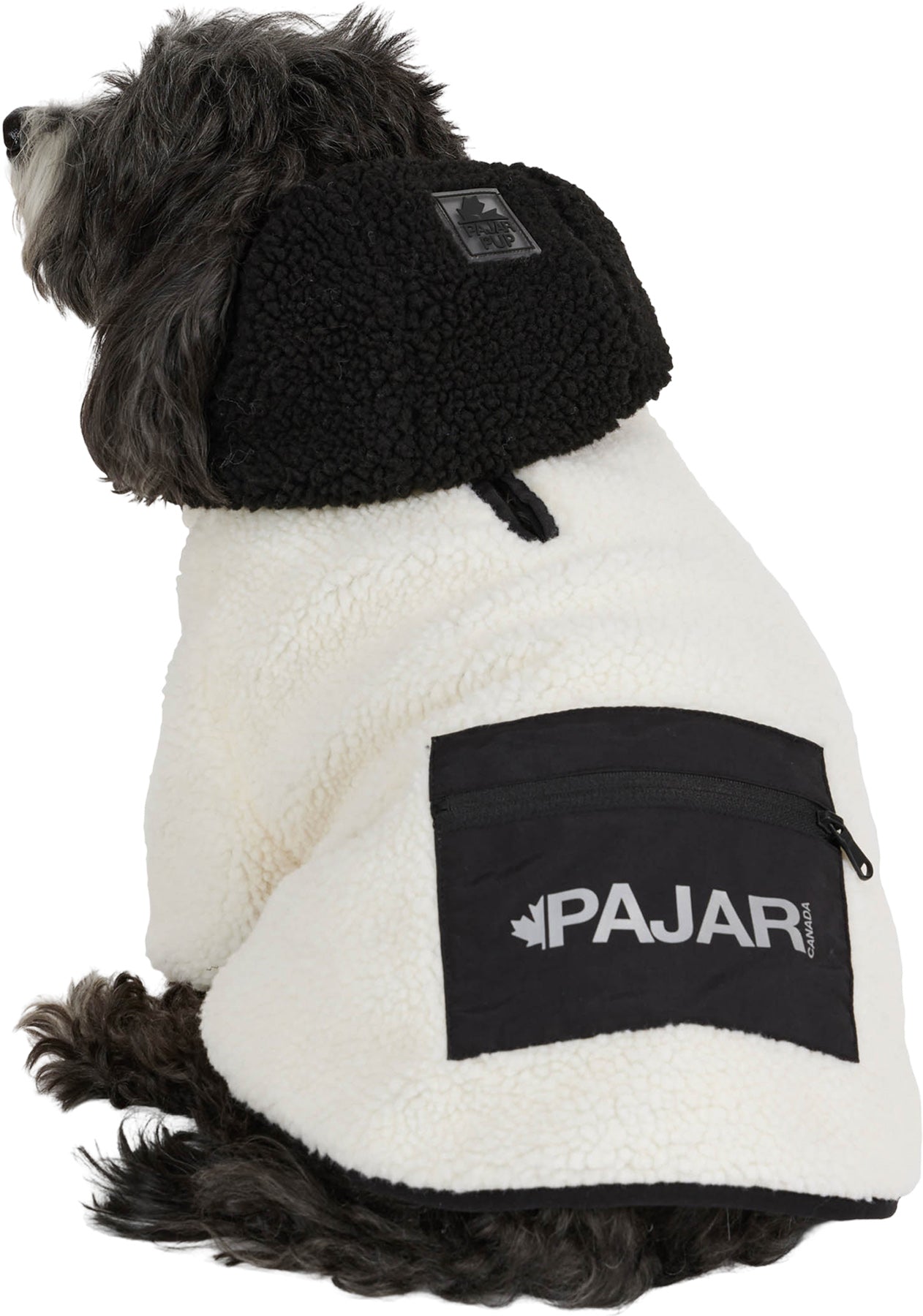 Max Jacket with Hood for Dogs