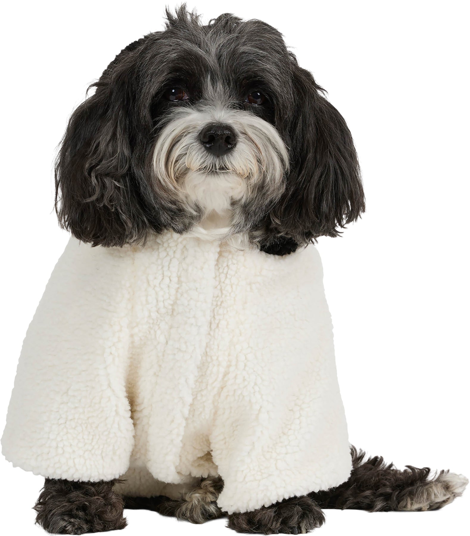 Max Jacket with Hood for Dogs