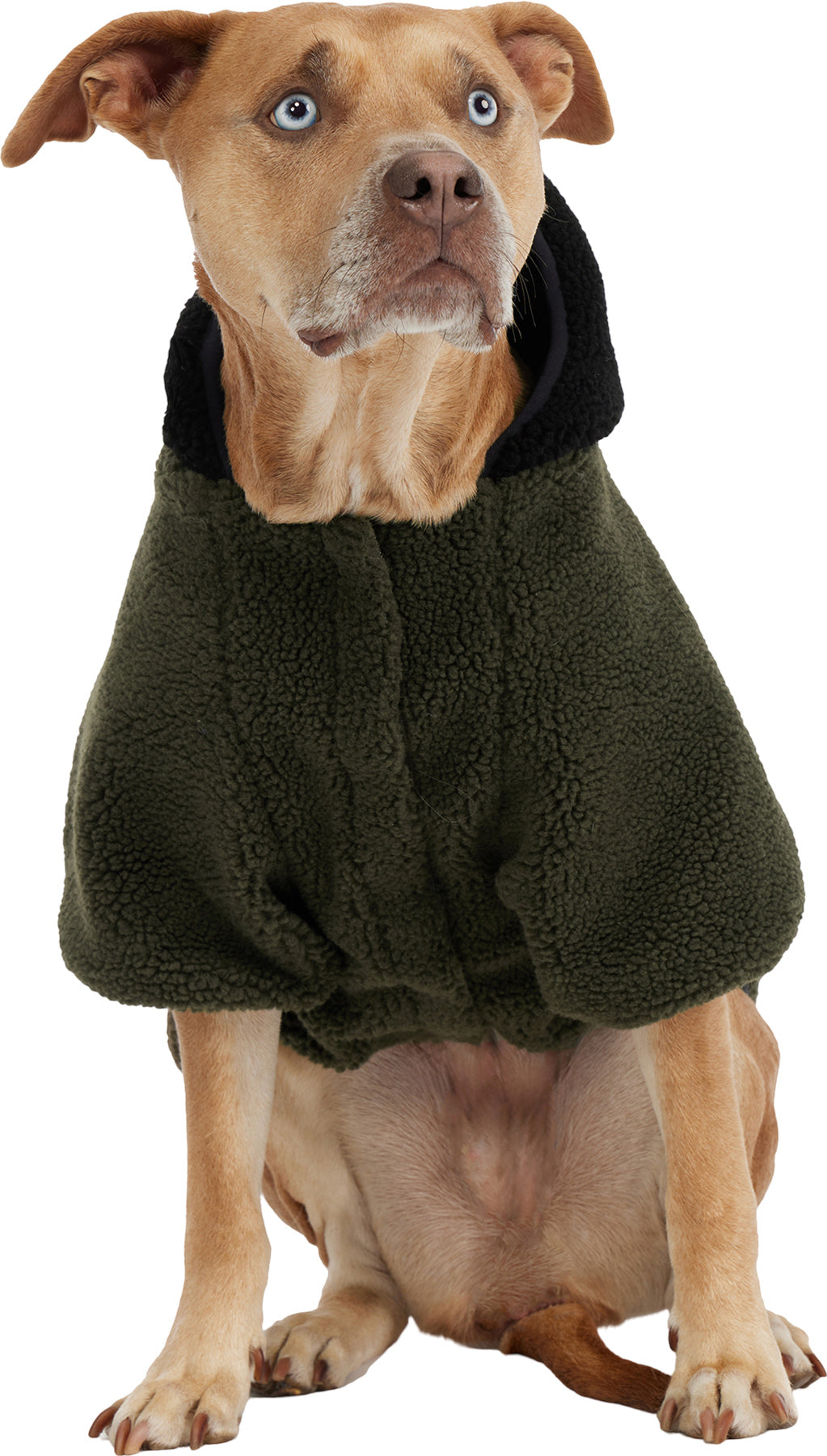 Max Jacket with Hood for Dogs