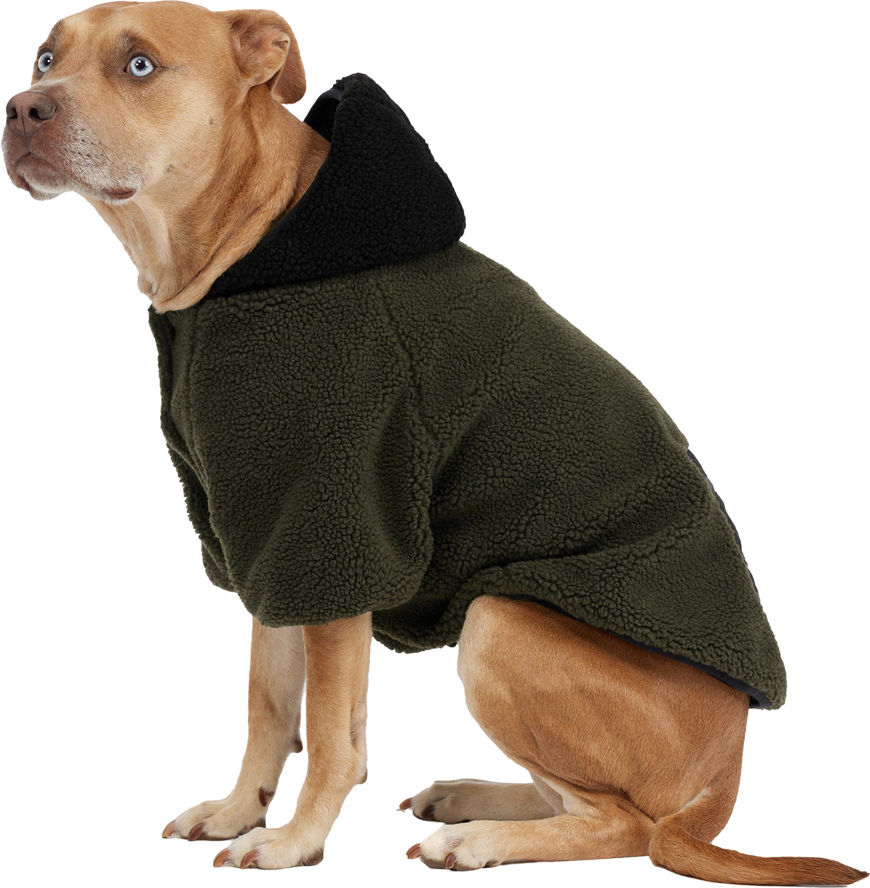 Max Jacket with Hood for Dogs