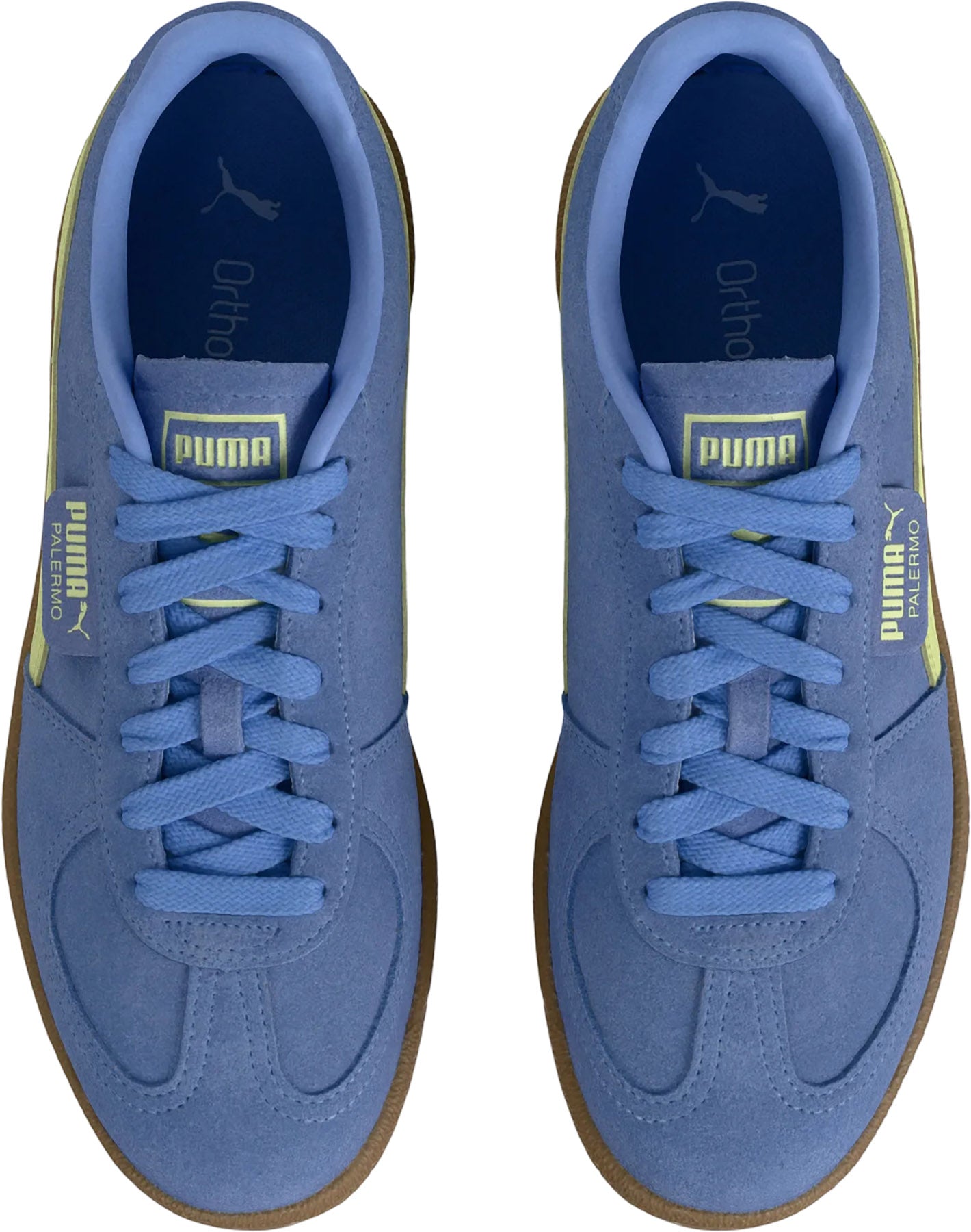 Palermo Sneaker - Women's