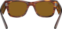 Mega Wayfarer Sunglasses