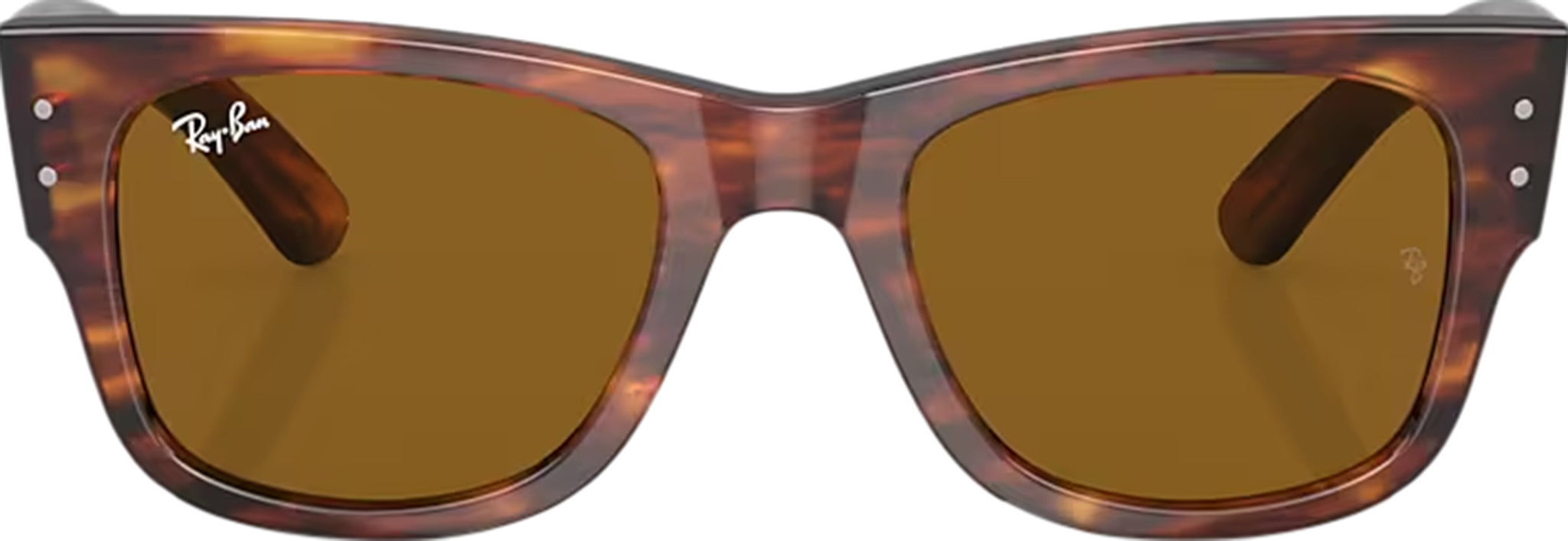Mega Wayfarer Sunglasses