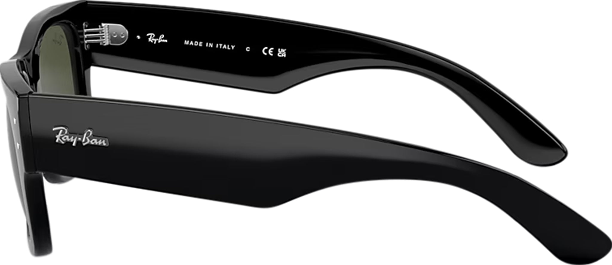 Mega Wayfarer Sunglasses