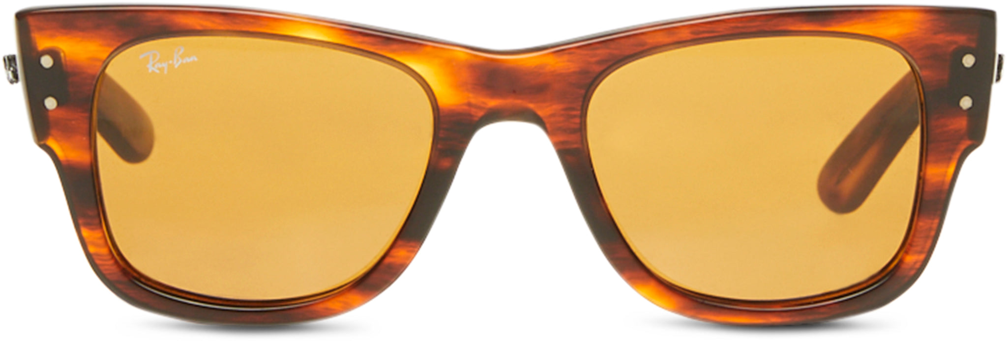 Mega Wayfarer Sunglasses