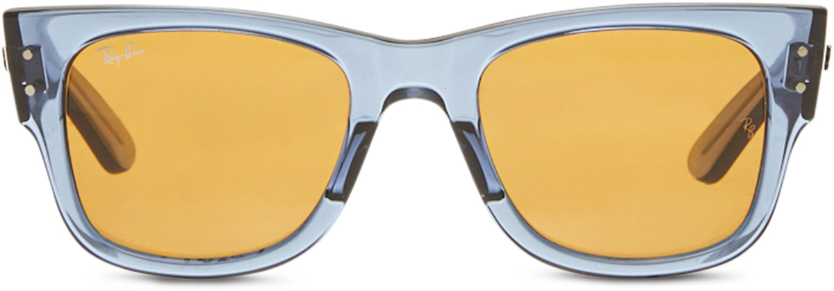Mega Wayfarer Sunglasses