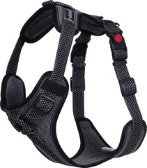 Star Dog Harness - XLarge