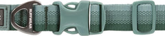 Front Range Dog Collar