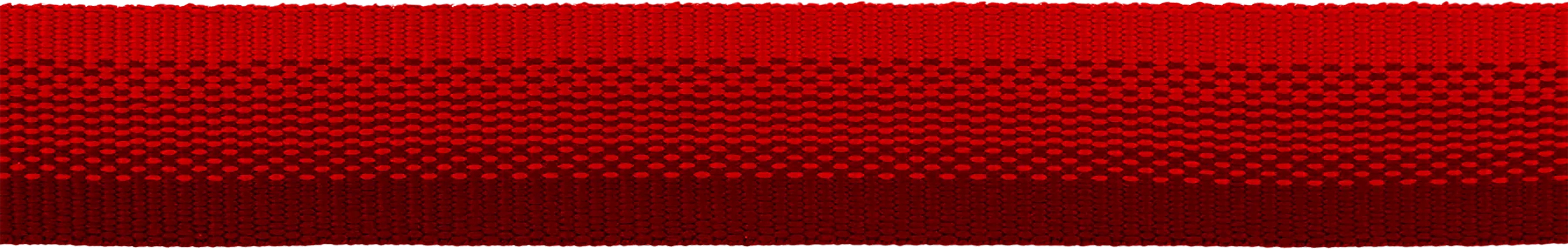 Front Range Dog Collar