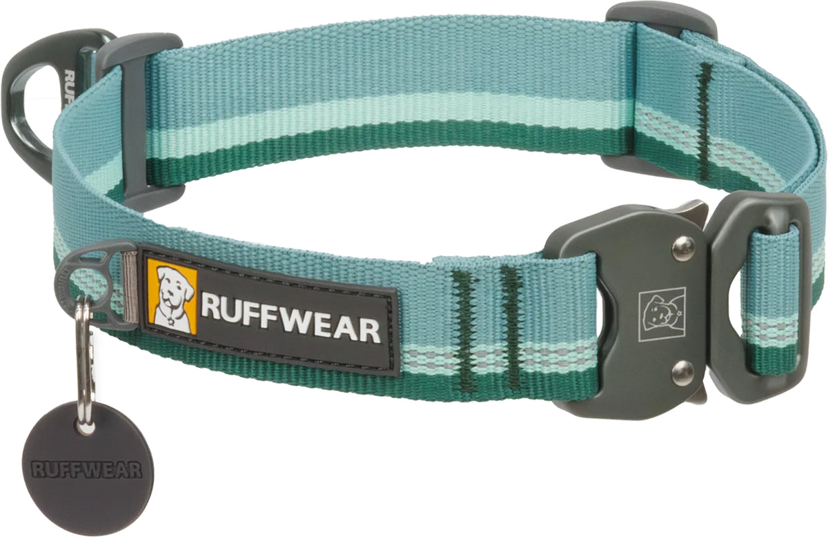 Top Rope Metal Buckle Dog Collar