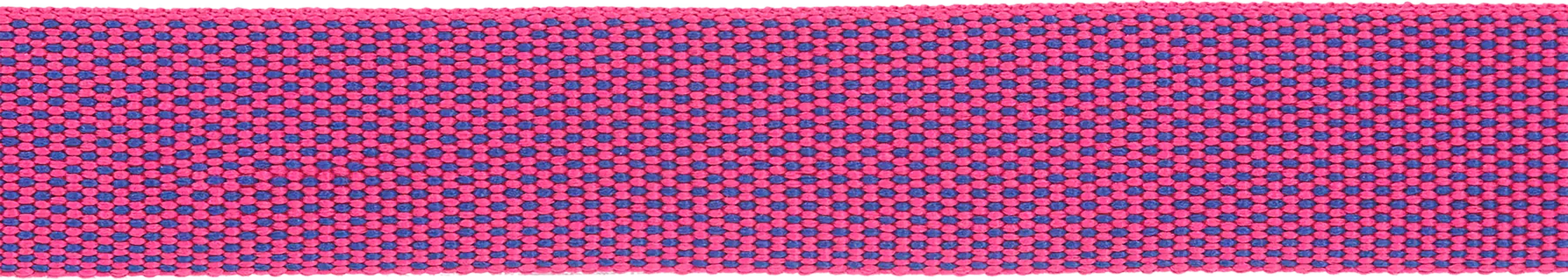 Hi and Light Lightweight Dog Collar