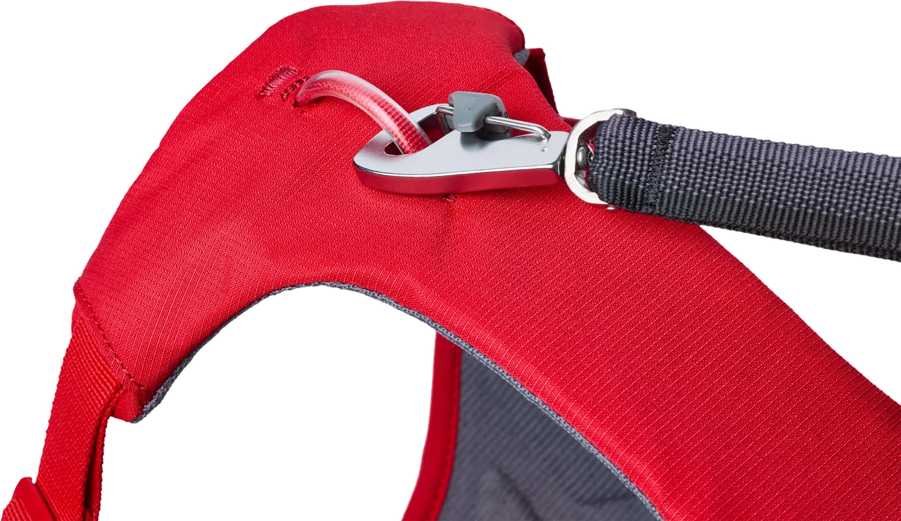 Web Master Dog Harness with Handle