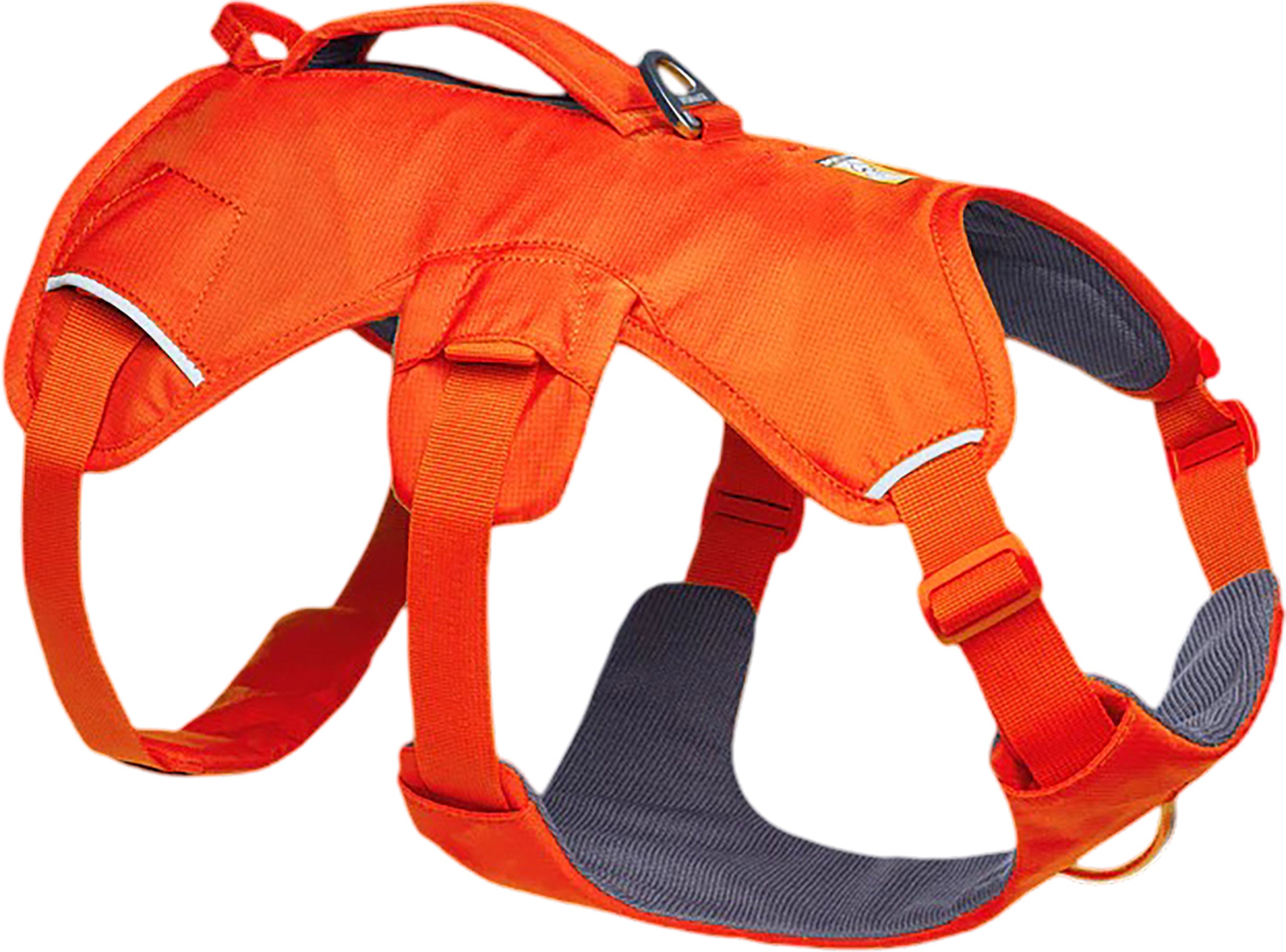 Web Master Dog Harness with Handle