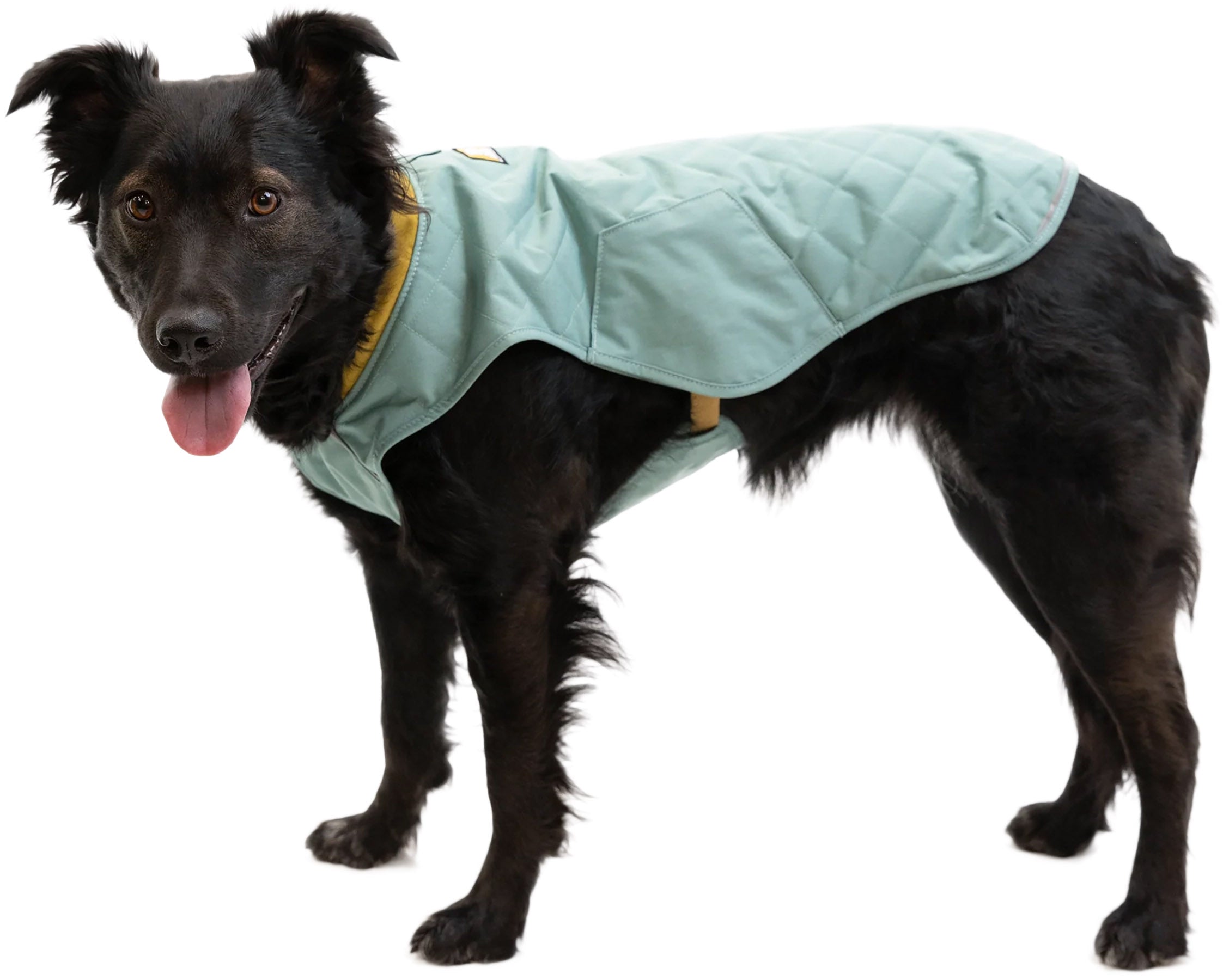 Stumptown Insulated Dog Vest