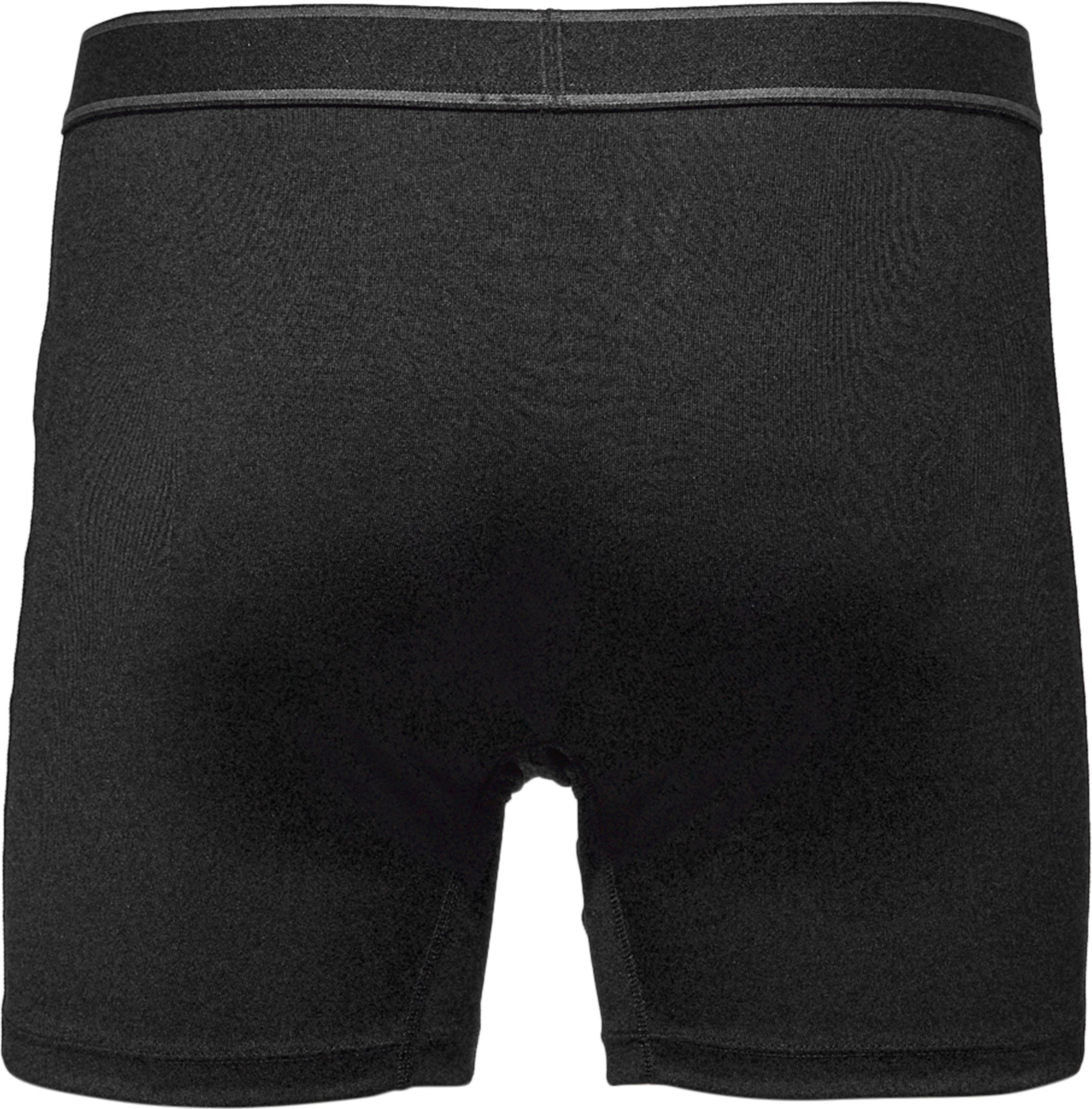 Daytripper Boxer Brief Fly 3 Pack - Men's
