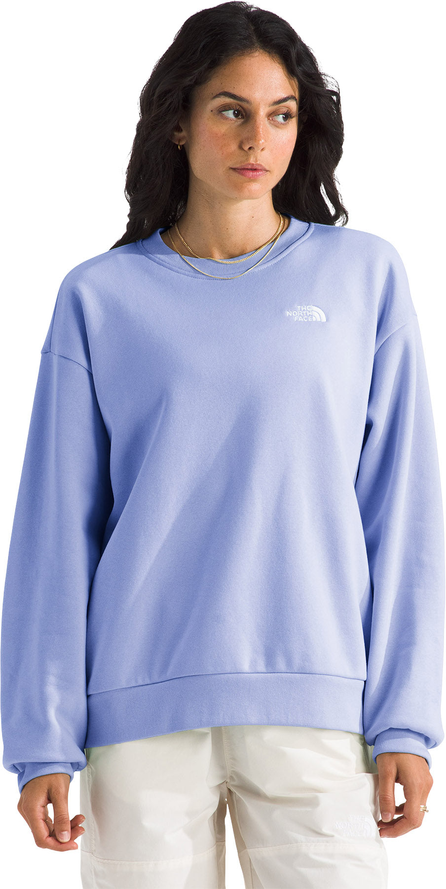 Evolution Simple Dome Oversized Crew Neck Sweatshirt - Women's