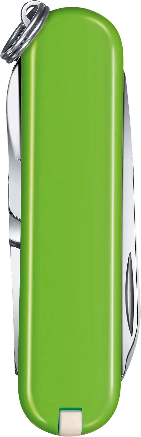 Classic SD Pocket Knife
