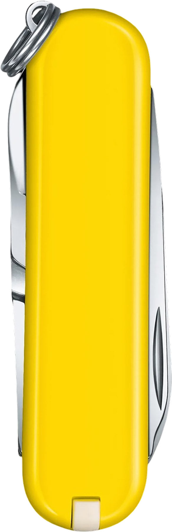 Classic SD Pocket Knife
