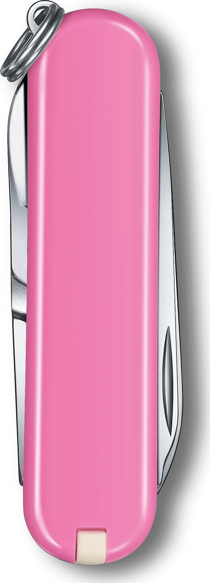 Classic SD Pocket Knife