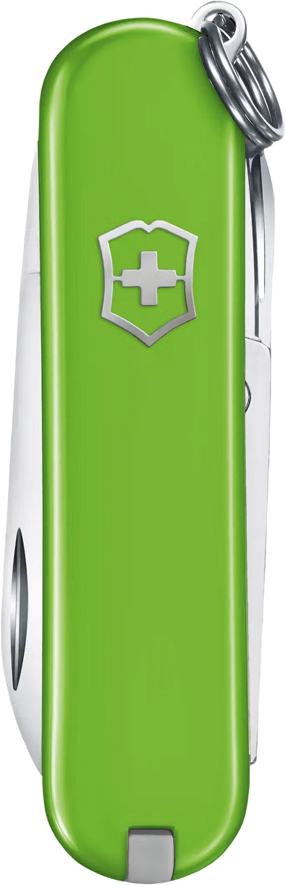 Classic SD Pocket Knife