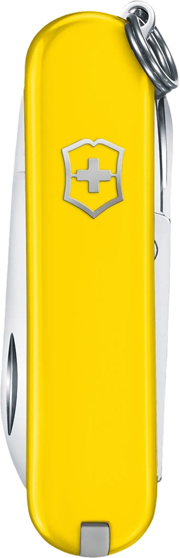 Classic SD Pocket Knife